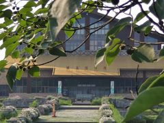 -宁波杭州湾国家湿地公园
