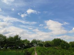 -丁香湖公园
