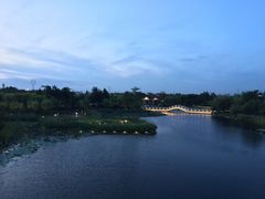 -映月湖公园