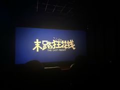 -华美国际影城(旧宫永辉店)