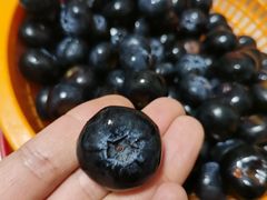 -五里多农博广场