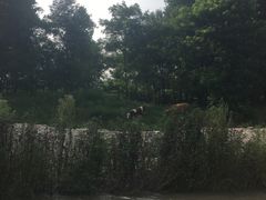 -紫荆关长城漂流