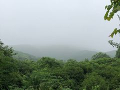 -石塘人家