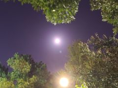 -绝味鸭脖(碧凤坊二店)