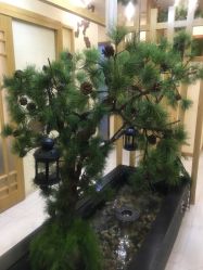 -芳朵美容养生SPA