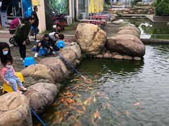 -南昌之星游乐场