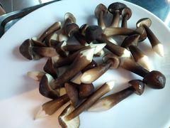 -千岛蚝高压锅生蚝·人参火锅(白云万达店)