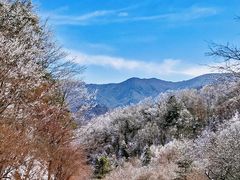 -秦岭风景区