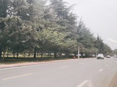 -河南省黄河迎宾馆