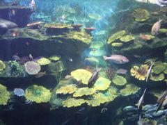 -暹罗海洋世界