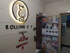 -滚猫咖啡·猫咖·猫友好撸猫(未来城店)