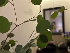 -Angkor SPA 柬埔寨古法按摩(环贸店)