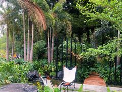 -深圳仙湖植物园