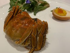 -Yan Ting 宴庭中餐厅(上海静安瑞吉酒店)