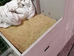-利杨记·本味轩粥坊·烧烤(宝体店)