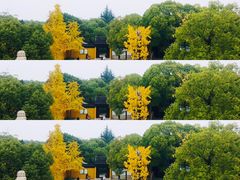 -西园戒幢律寺
