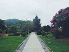 -桃花岛风景旅游区
