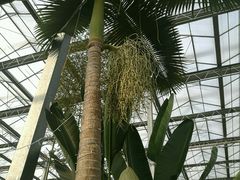 -兰陵国家农业公园