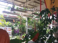 -红栌温泉山庄生态美食餐厅