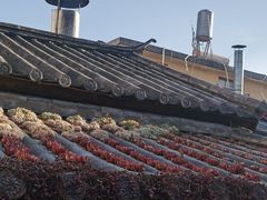 -尽善百年古院餐厅(王家老宅店)