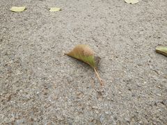 -白塘生态植物园