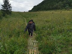 -白草畔自然风景区