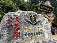-大槐树寻根祭祖园