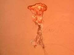 -沈阳海洋探索中心