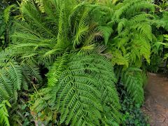 -国家植物园南园