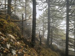 -秦岭风景区