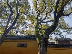 -西园戒幢律寺