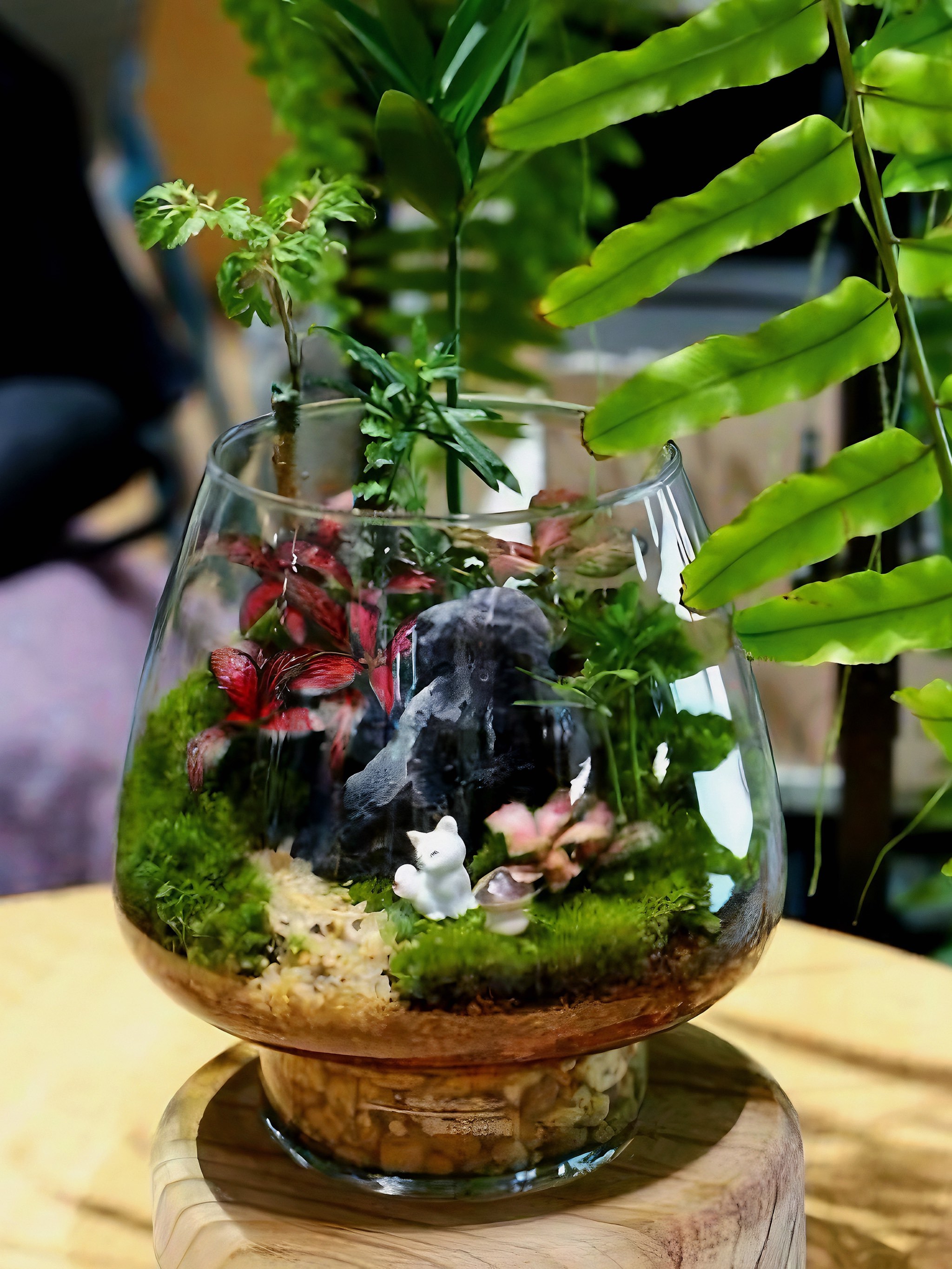 🌸春日限定·创意植物微景观diy🍃