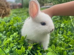 -伴山茶苑·围炉煮茶