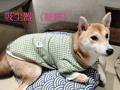 -逗柴咖啡屋·狗咖猫咖宠物桌游