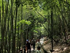 -敬亭山风景名胜区