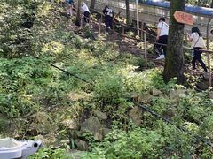 -帽儿山风景区