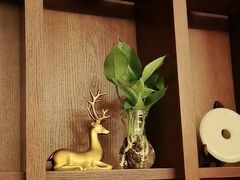 -中国徽菜·徽商故里(广安门店)