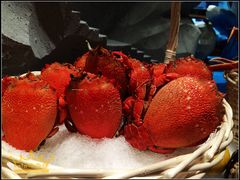 IMG_3610-厦门悦华酒店