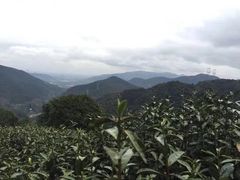 -径山寺