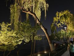 -西湖游船