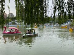-团结湖公园