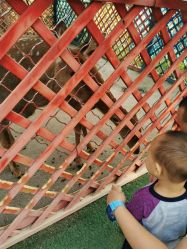 -萌宠亲子动物乐园(槐房万达店)