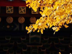 -香山公园