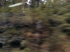 -富士山吉田線五合目
