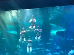 -泉城欧乐堡海洋极地世界