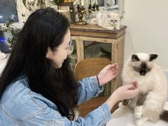 -共舞时光猫咖·狗咖(新街口店)