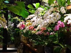 -南亚水鑫温泉SPA(恒宇商业广场店)