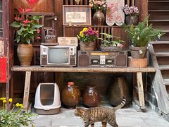 -南靖田螺坑土楼群景区