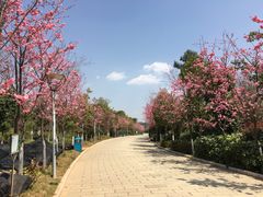 -洛龙公园