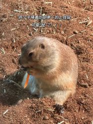 -Zoolung Zoolung动物主题公园(海信广场店)